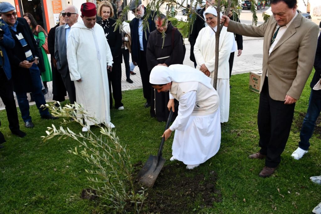 Plantation de trois oliviers lors de l’iftar interreligieux à Tanger, symbole de paix et de coexistence entre les religions monothéistes
