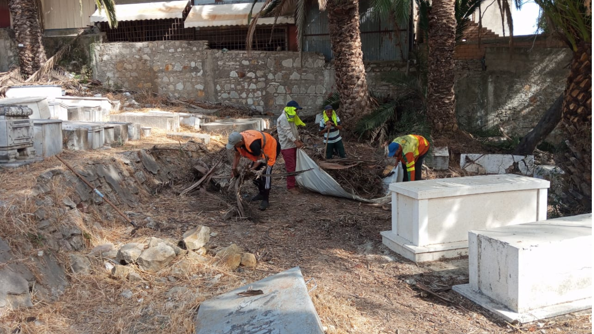 Opérations de désherbage au grand cimetière de Tanger, préservant le patrimoine juif dans le Nord du Maroc. (124 caractères)